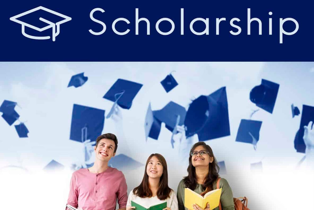 general skilled migration vis